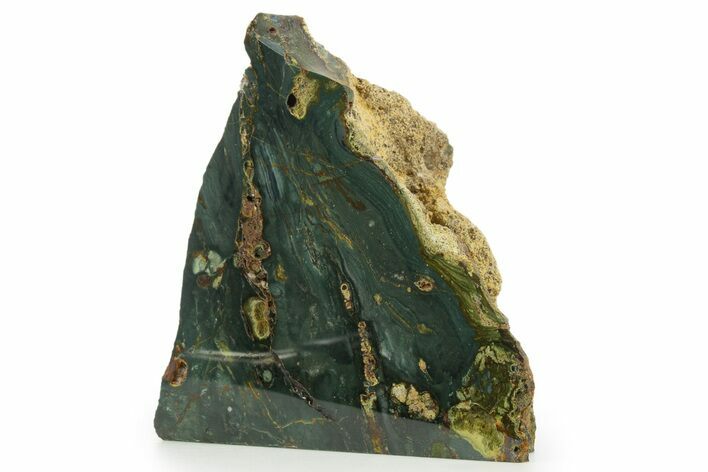 Free-Standing, Gary Green Jasper (Larsonite) Bog Wood - Oregon #334829
